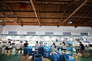 爭做 拼購村 中國 家電之都 有了新致富路